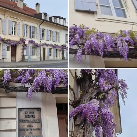 Pestalogis * Yverdon-les-Bains